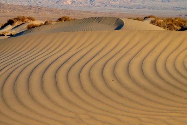 Eureka Sand Dunes