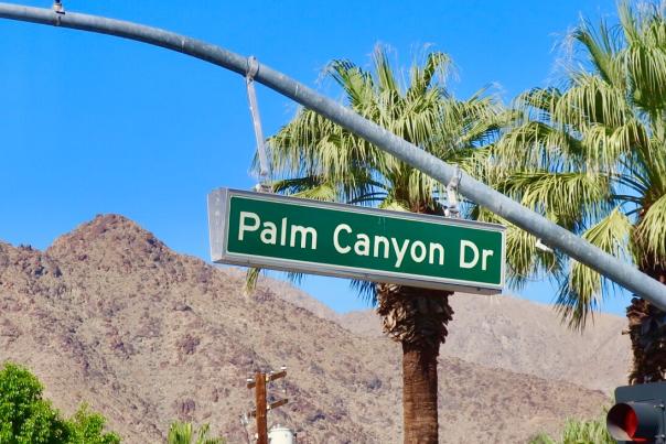 Green Palm Canyon Drive street sign with mountain and palm tree background.