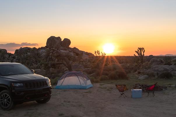 Car camping in the desert with Joshua Trees at sunset