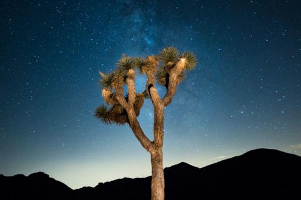 jtnp night 1,jpg web