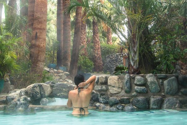 Woman relaxing in pool surrounded by palm trees