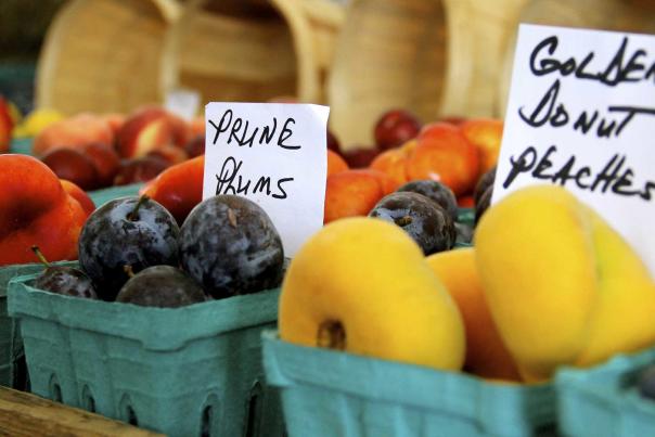 surprising farmer market finds social web
