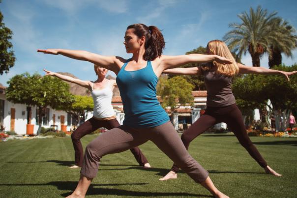 yoga web