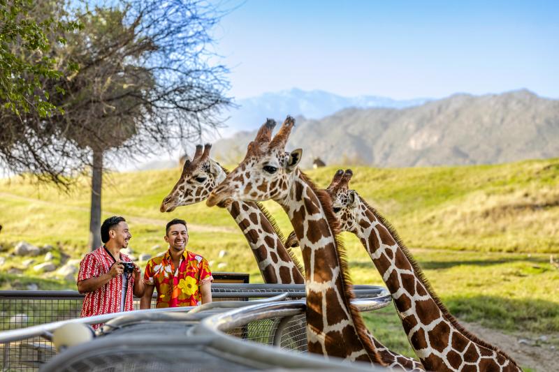 The Living Desert Zoo and Gardens
