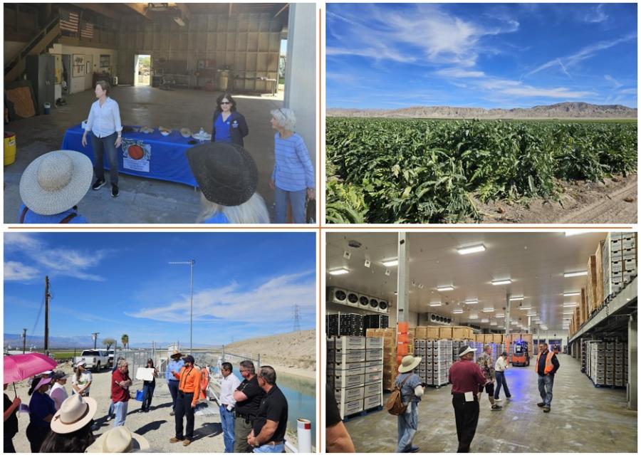 ED Board Report March - Image #6