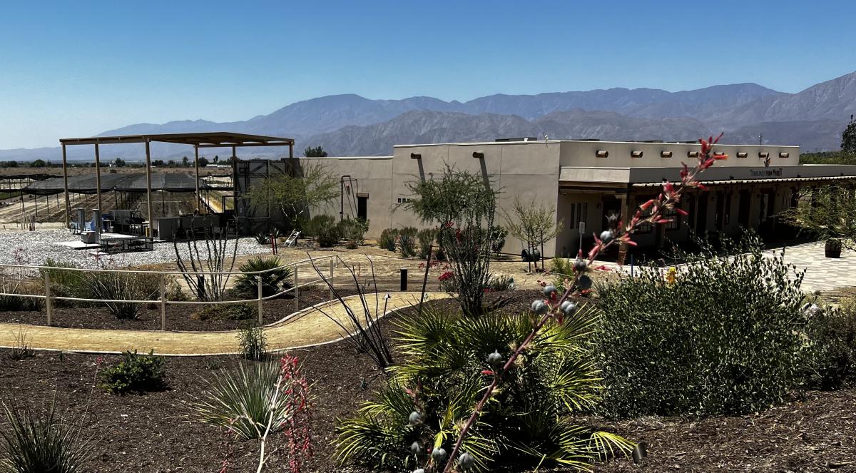 Vegetable crops and farm market can be seen in the distance from atop Seven Feathers Hill at Temalpakh Farm in Coachella.