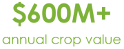 600M ag crop production