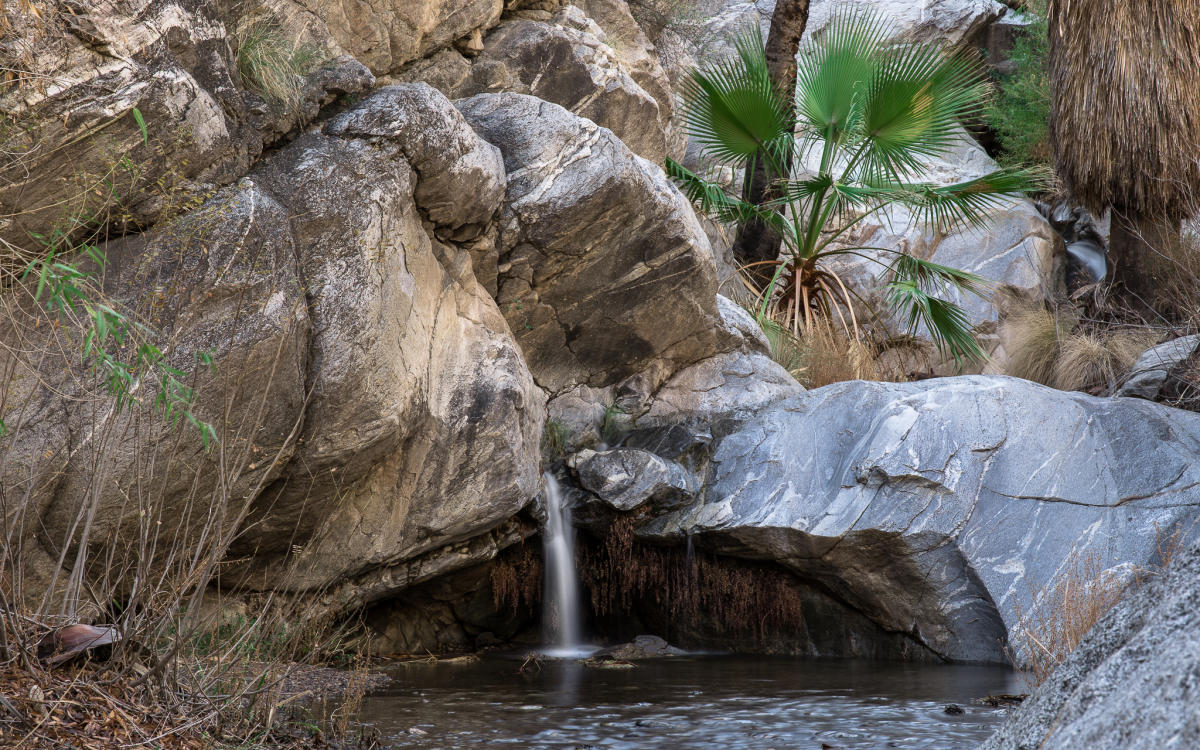 A small waterfall in Murray Canyon in Indian Canyons in Palm Springs, California
