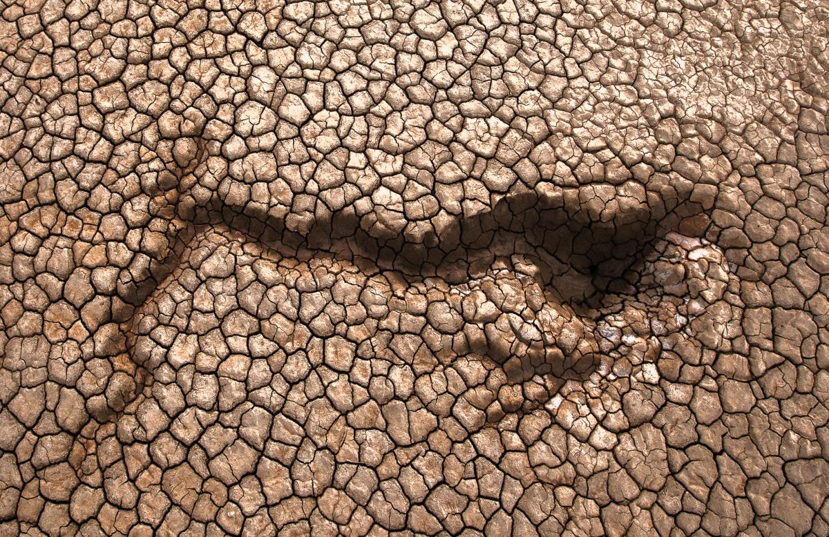Clark Dry Lake in Anza-Borrego Desert State Park (photo: Elisabeth Brentano)