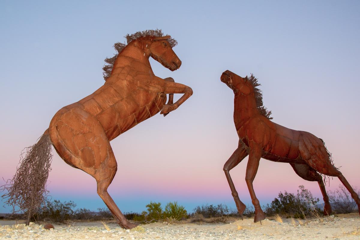 Borrego Springs_Sculptures