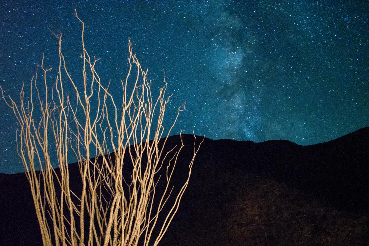 Starry night sky in Anza Borrego