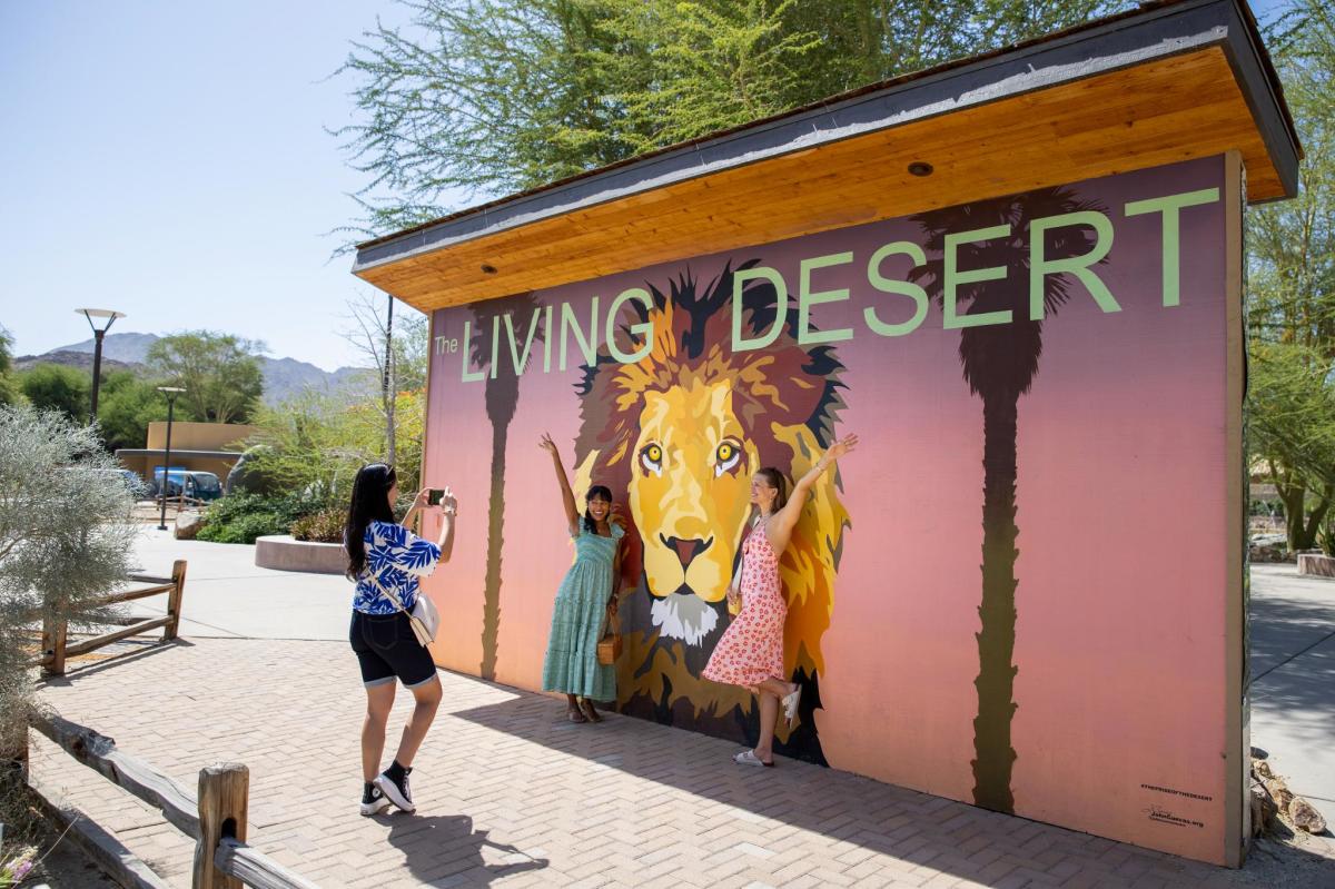 The Living Desert_Lion Mural