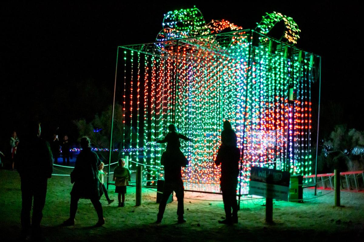 Wildlights at The Living Desert Zoo & Gardens