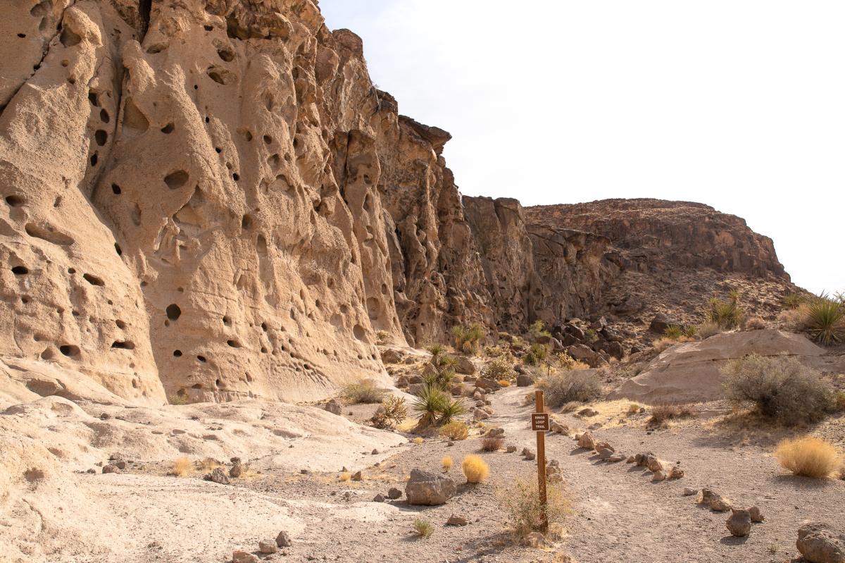 A view of Banshee Canyon along the Rings Loop Trail in the Mojave National Preserve