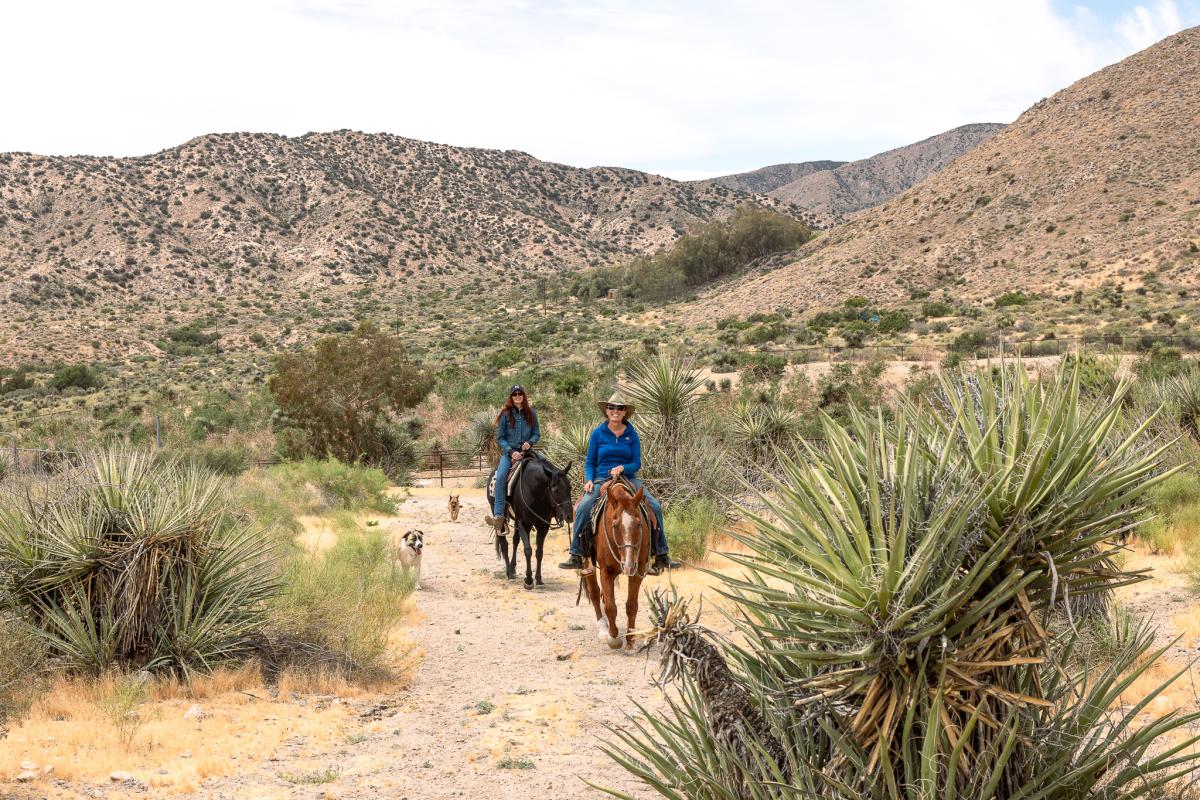 Horseback riders on the equestrian trails near Crazy Horse Ranch in Morongo Valley, California
