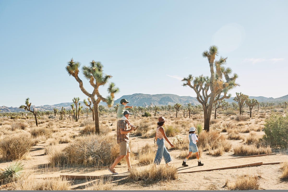 Joshua Tree