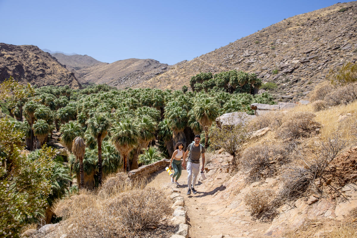 Palm Canyon Hike