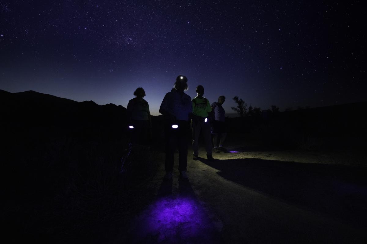 Escapes_Night Hike