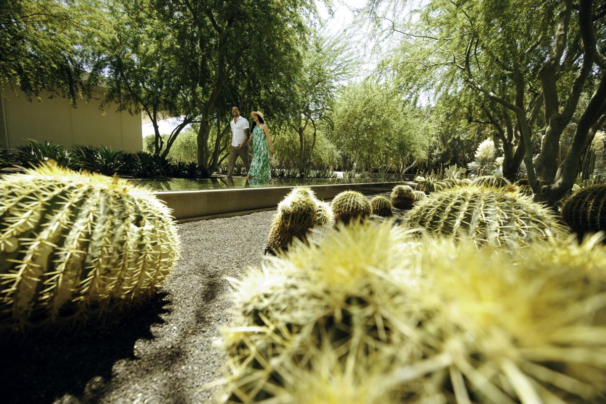 Sunnylands Center & Gardens