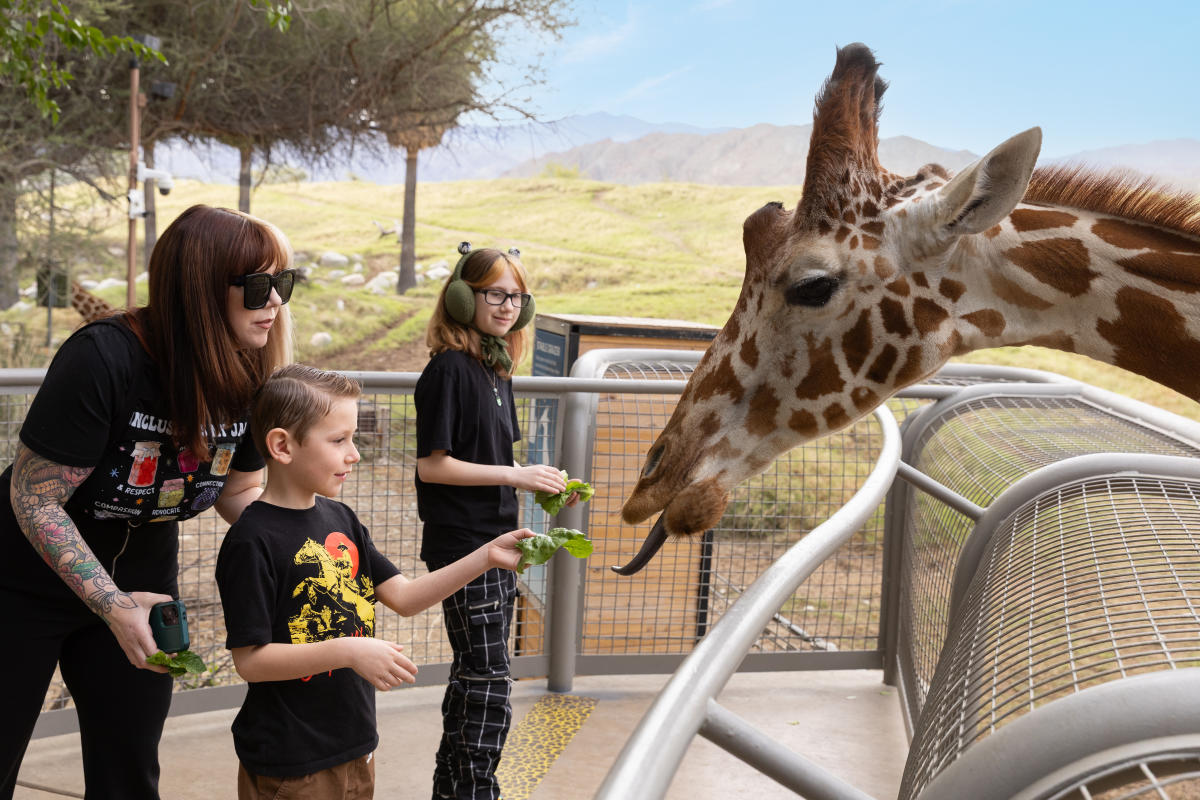 GPS26_The Living Desert_Autism Certified