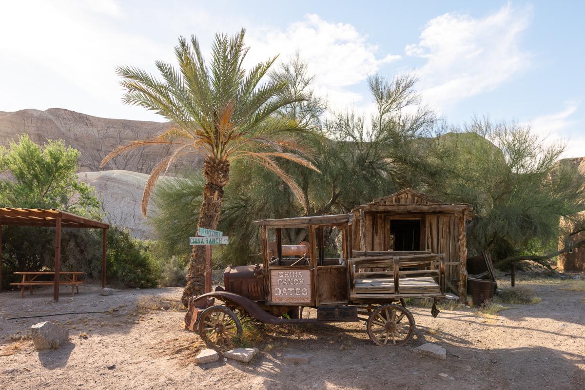China Ranch Date Farm in Tecopa, California