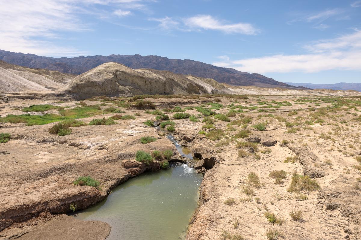 Salt Creek Interpretive Site in Death Valley National Park