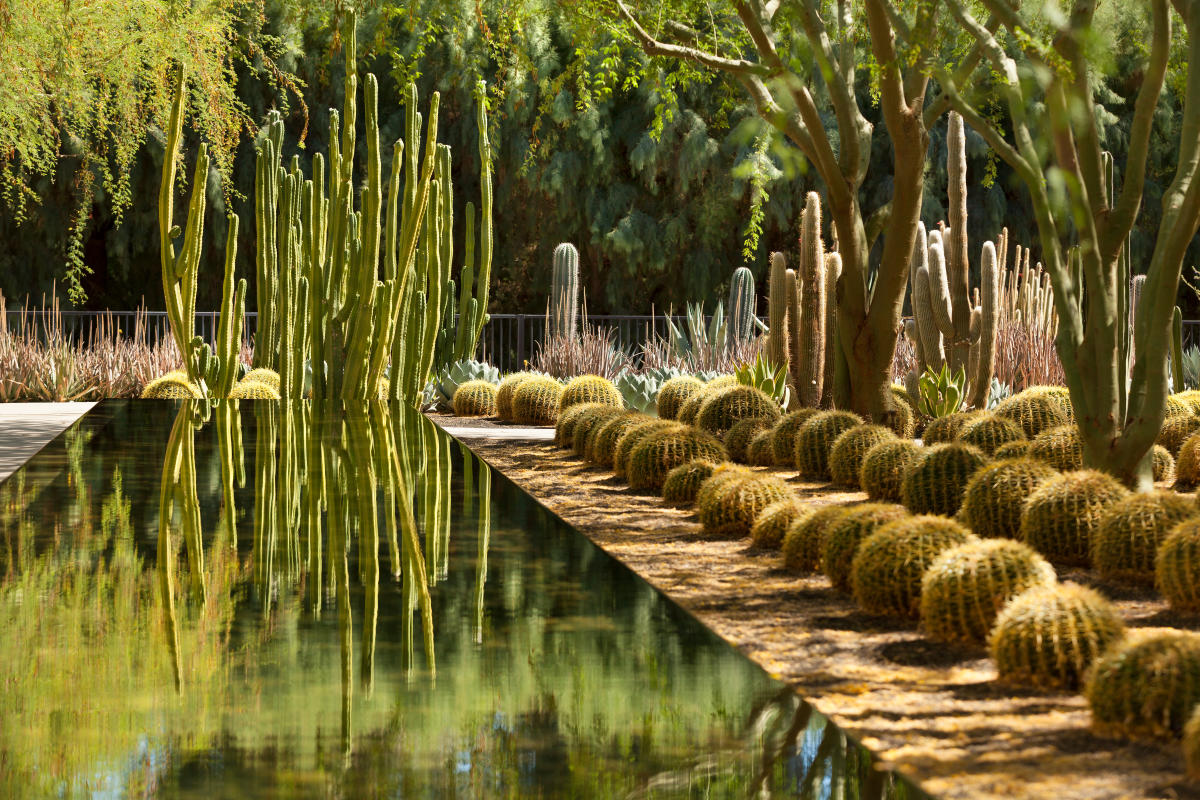 Sunnylands Center & Gardens