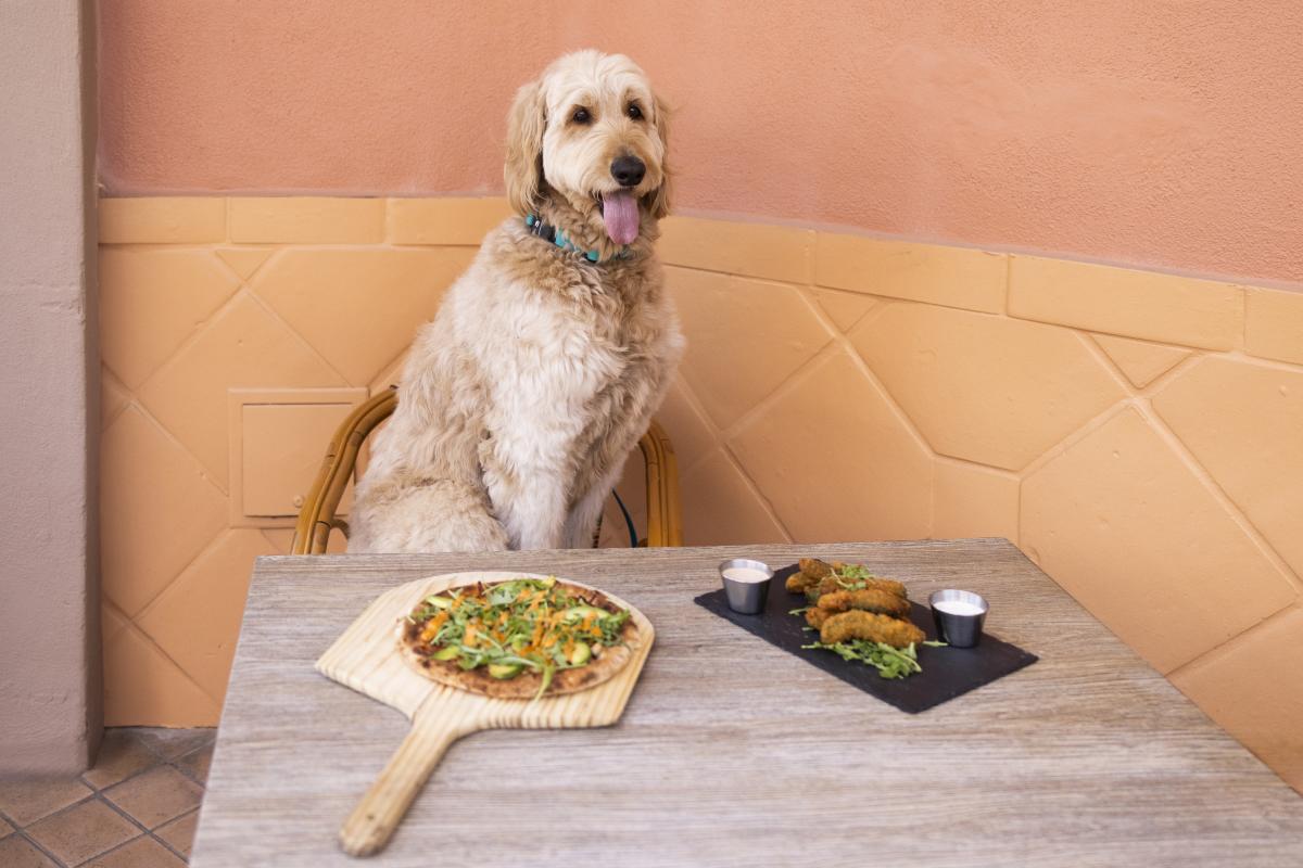 Dog-friendly dining at The Hideout Kitchen + Bar in Palm Desert.