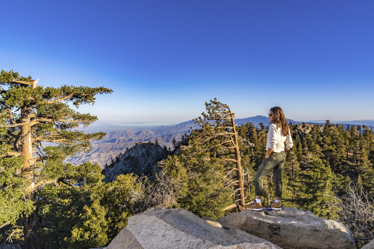 Summer at the Palm Springs Aerial Tramway