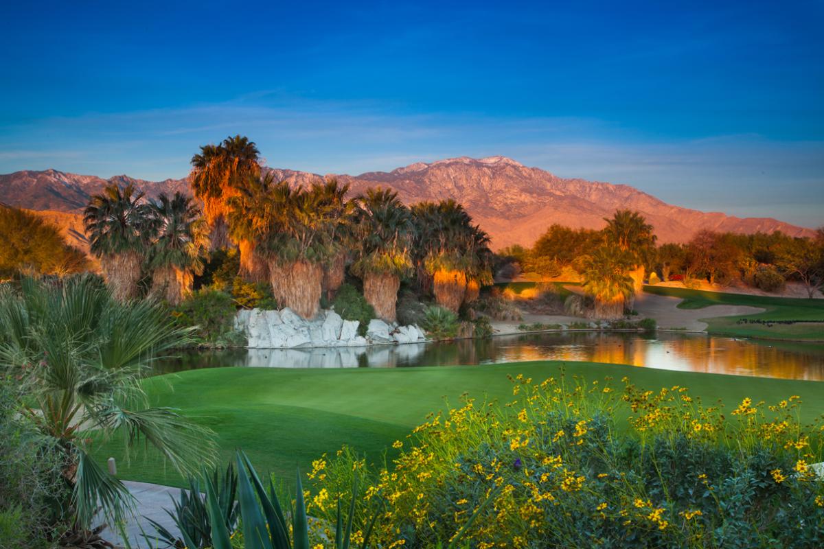 Desert Willow Golf