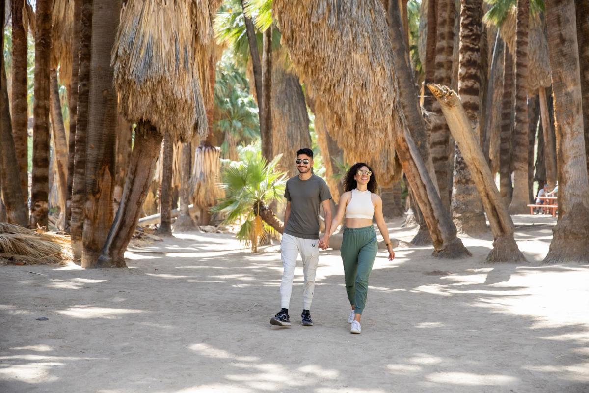Palm Canyon_Hiking