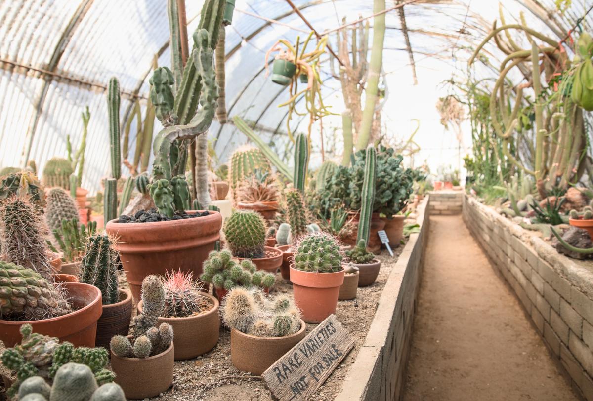 The Cactarium at Moorten Botanical Garden in Palm Springs, California