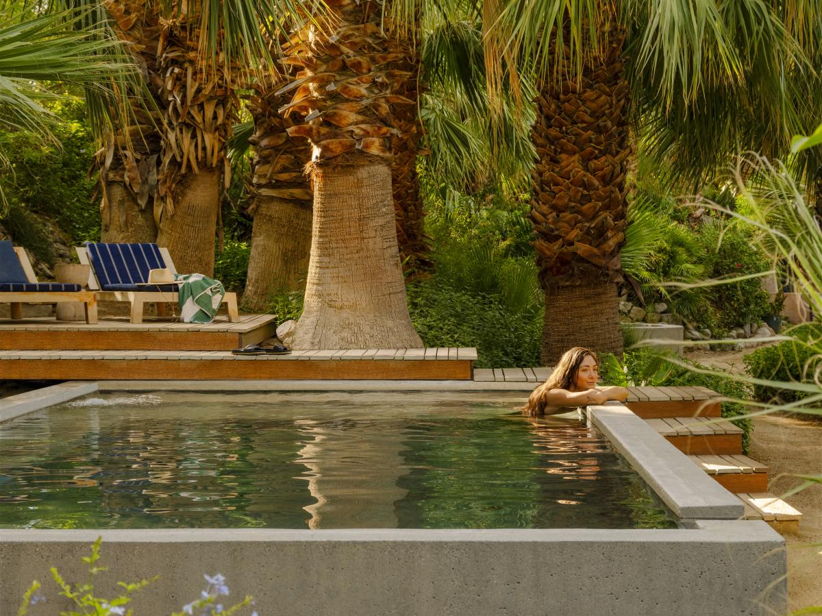 Two Bunch Palms in Desert Hot Springs