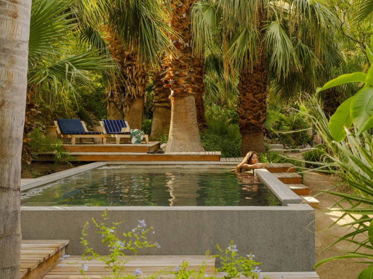 Two Bunch Palms in Desert Hot Springs