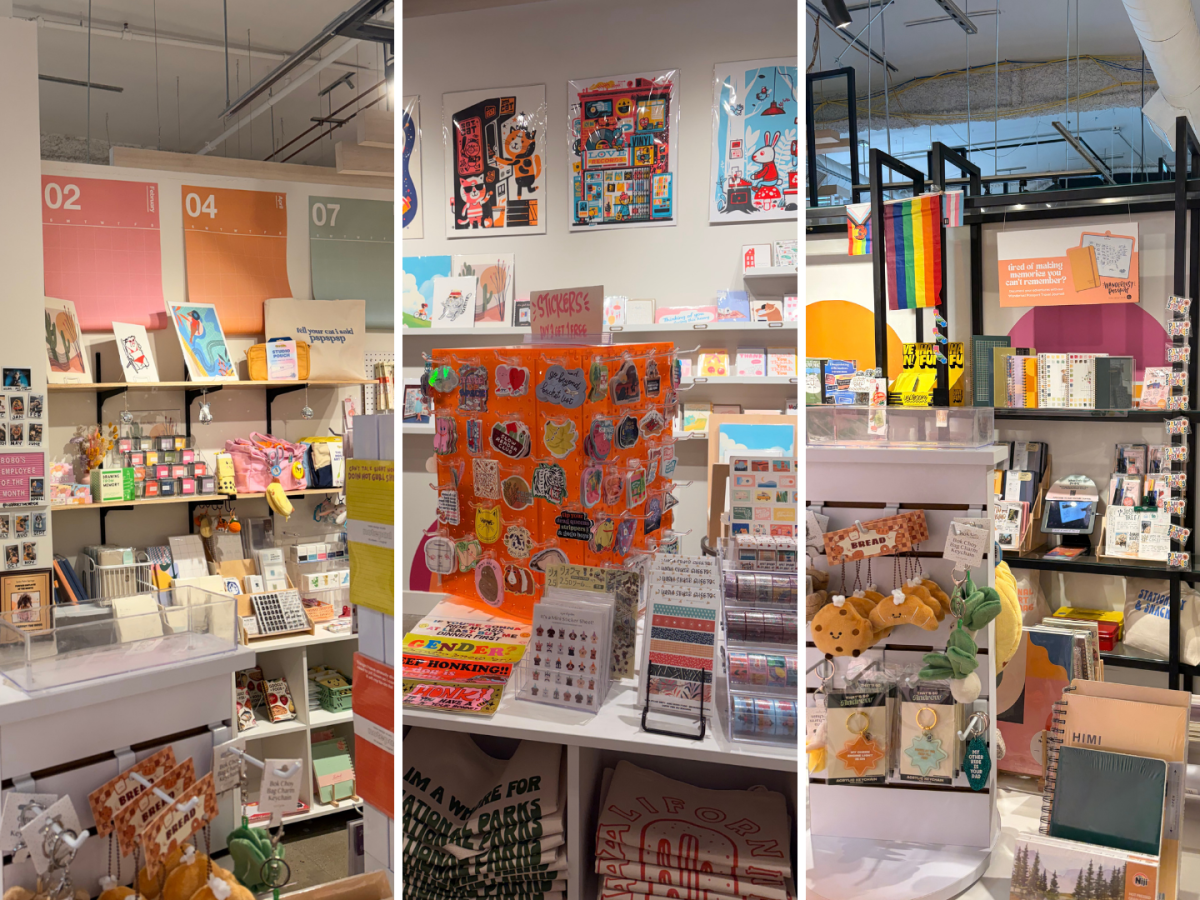 Dasha Meet the Mentors