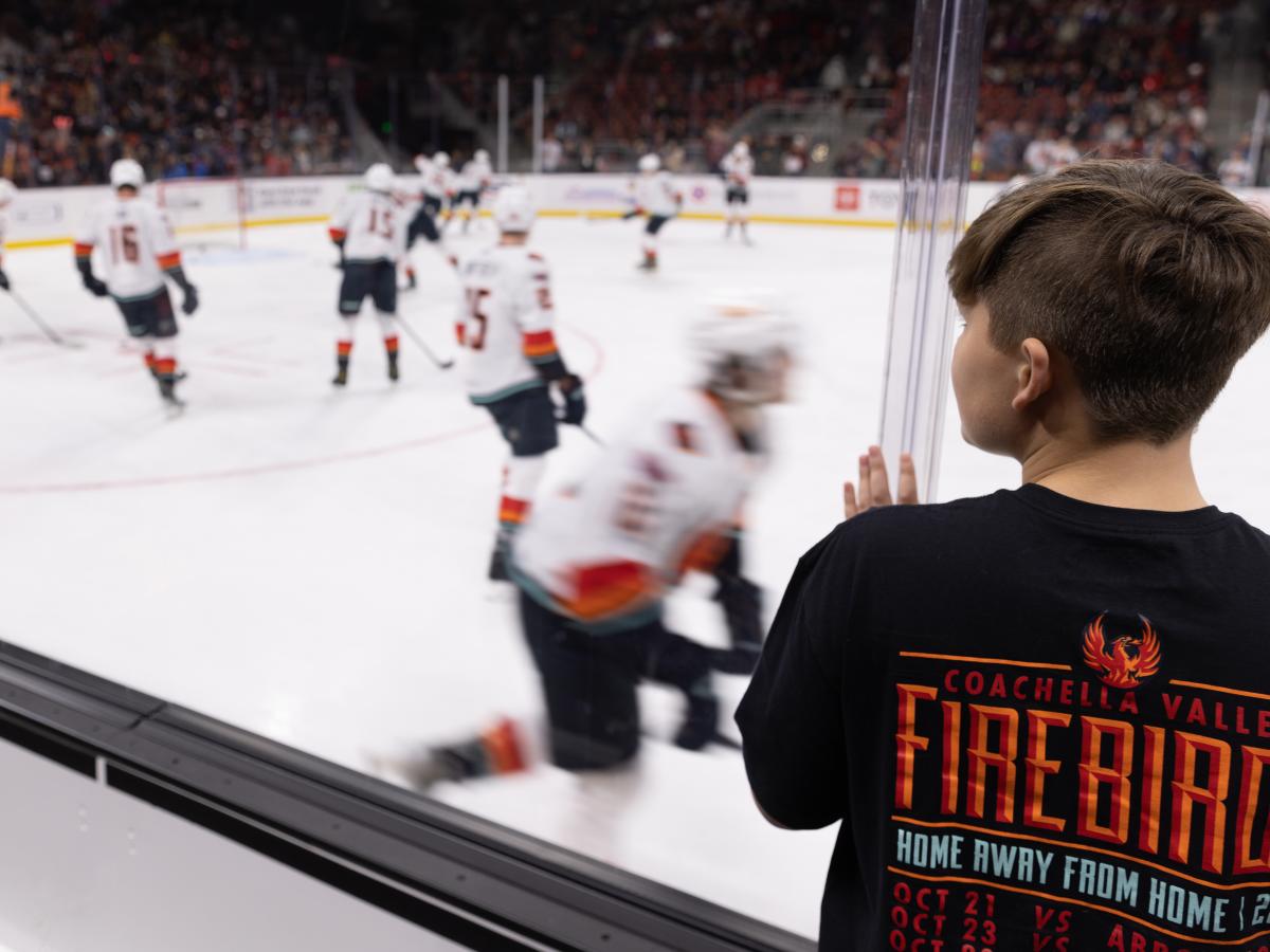 Firebirds at Acrisure Arena