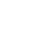 Palm Springs Surf Club logo