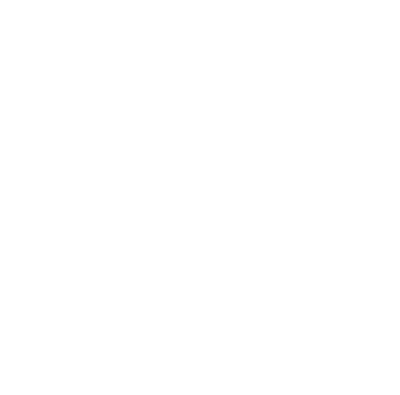 Palm Springs Surf Club logo