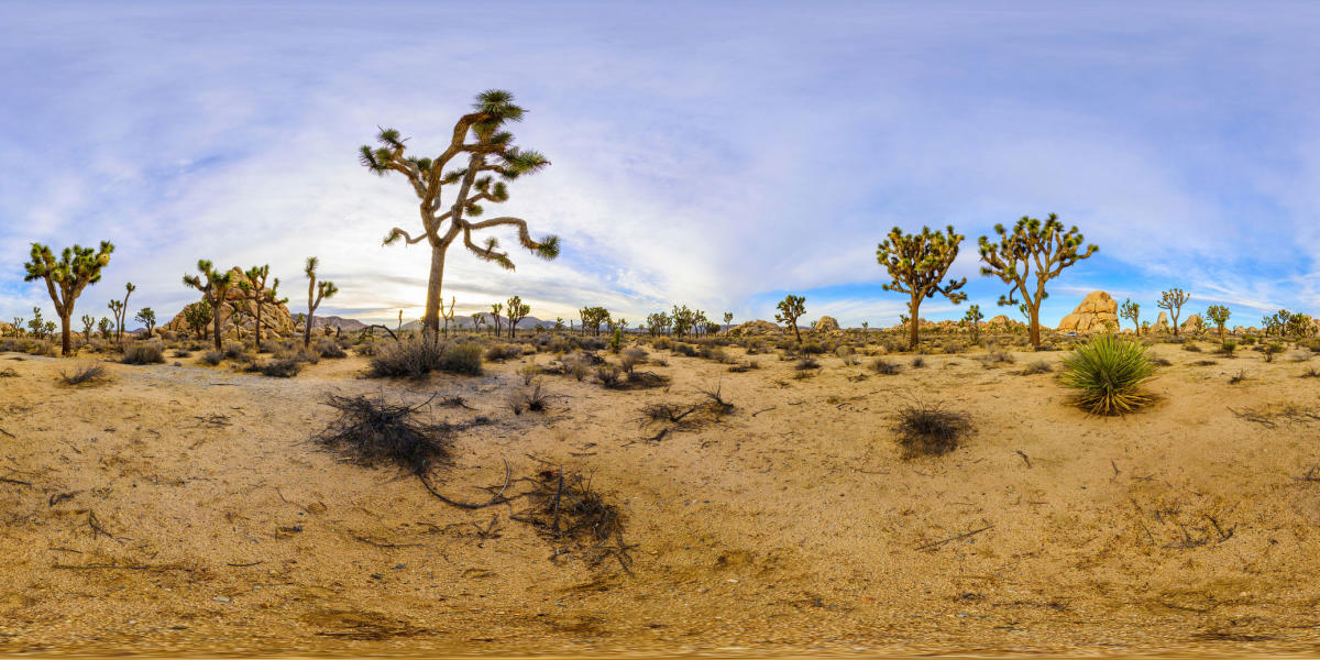 Visit Joshua Tree National Park - Greater Palm Springs
