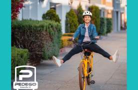 Pedego Electric Bikes Greenville