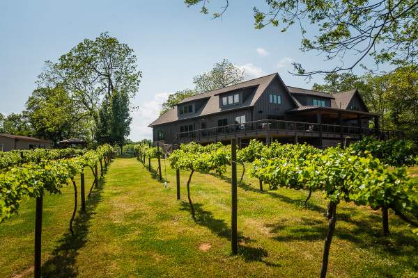 City Scape Winery