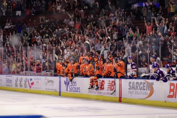Greenville Swamp Rabbits Hockey