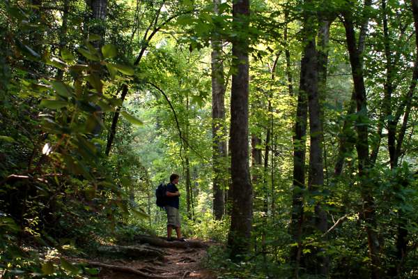 Paris Mountain State Park