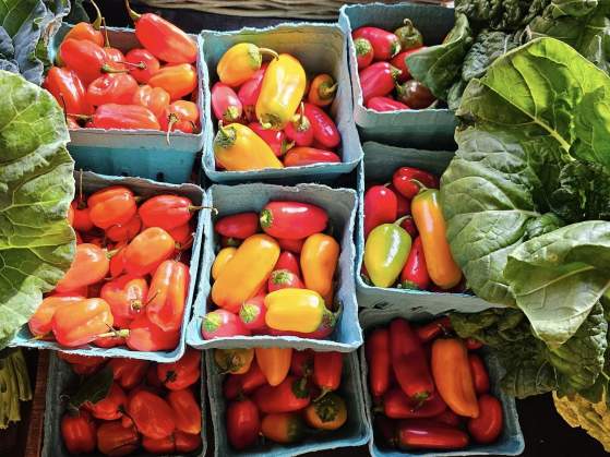 BridgeWay Farmers Market 2025