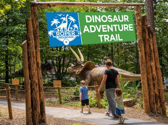 Afternoon Explorations