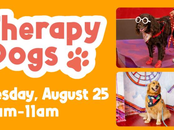 Therapy Dogs at TCMU