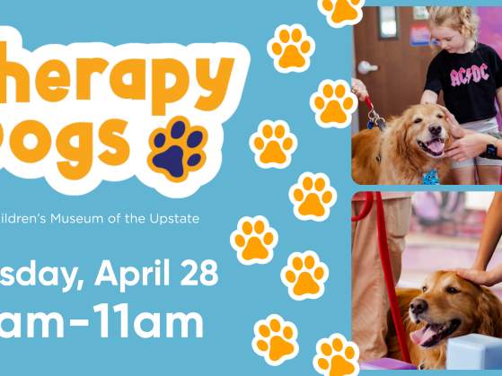 Therapy Dogs at TCMU