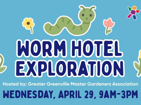 Worm Hotel Exploration