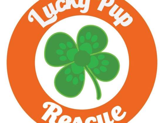 Barks & Brews w/ Lucky Pup Dg Rescue