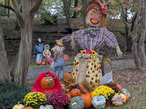 Fall festival,  plant sale and scarecrows!